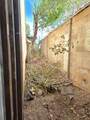 428 Chama Street - Photo 8