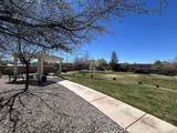 6800 Vista Del Norte Road - Photo 15