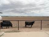  Carrasco Farm Lane Road - Photo 38