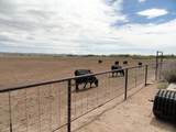 Carrasco Farm Lane Road - Photo 39