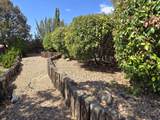 2830 Casa Del Norte Drive - Photo 106