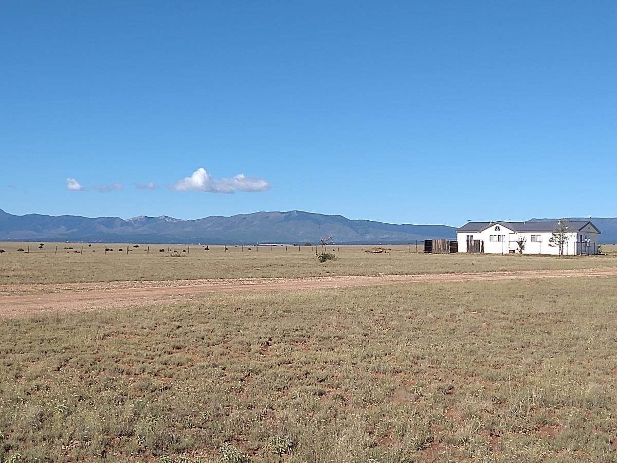 285 Riley Road - Photo 1