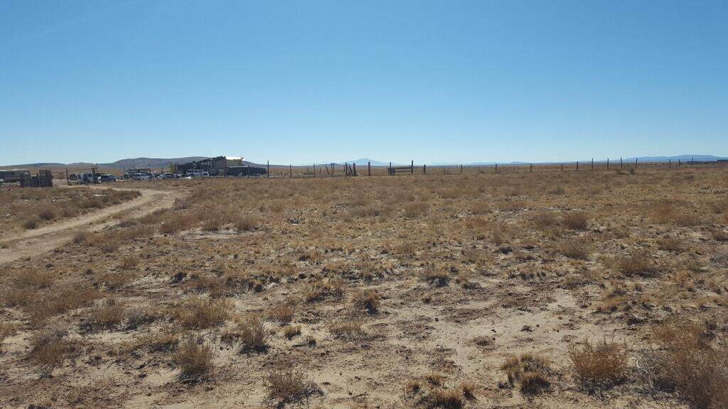 Off Pajarito Road - Photo 1