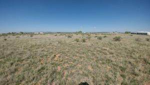 Lot 43 El Rancho Grande - Photo 1