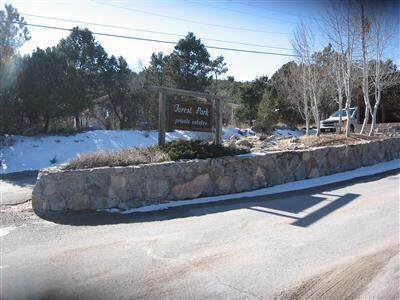 65 Manana Drive - Photo 1