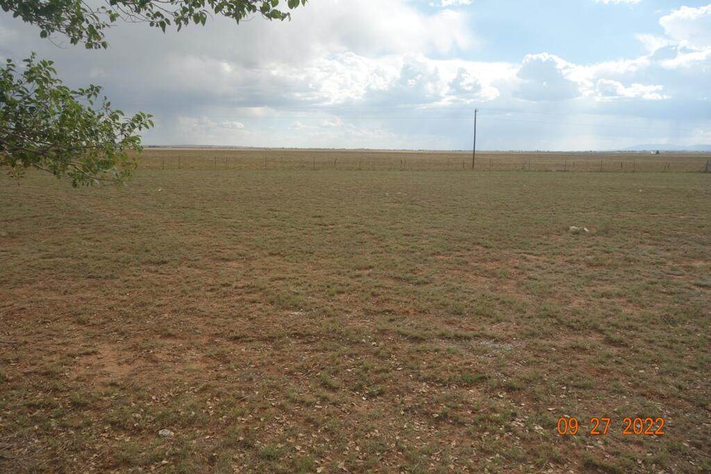 273 Western Road - Photo 1