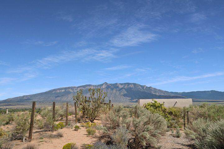 5975 Kim Road - Photo 1