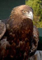 87 Frontage Road - Photo 20