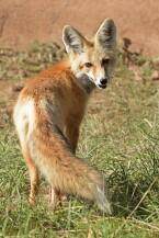 87 Frontage Road - Photo 26