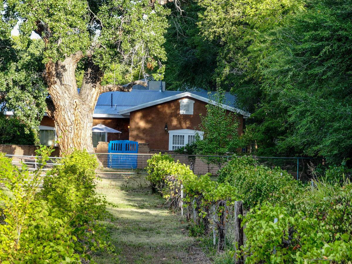 3821 Corrales Road - Photo 1