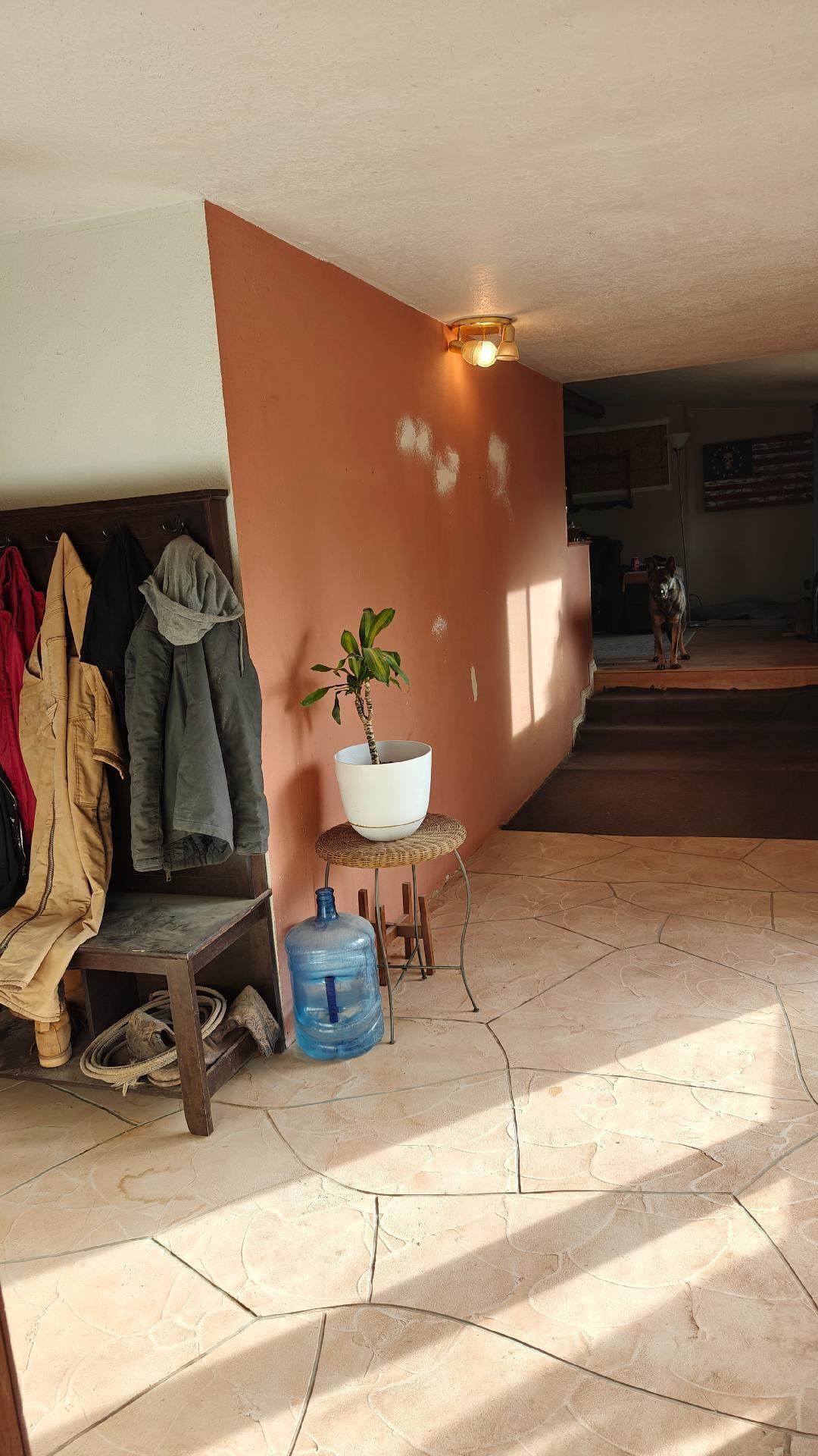 251 Howell Road - Photo 1