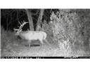 252 County Rd 156 - Photo 25