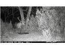 252 County Rd 156 - Photo 9