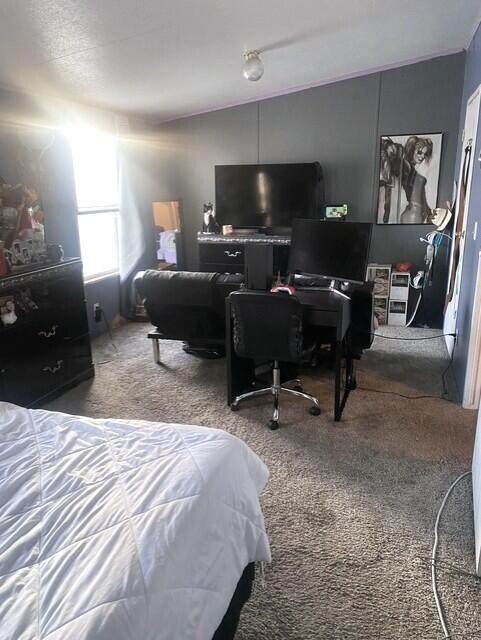 9301 Volcano Road - Photo 1