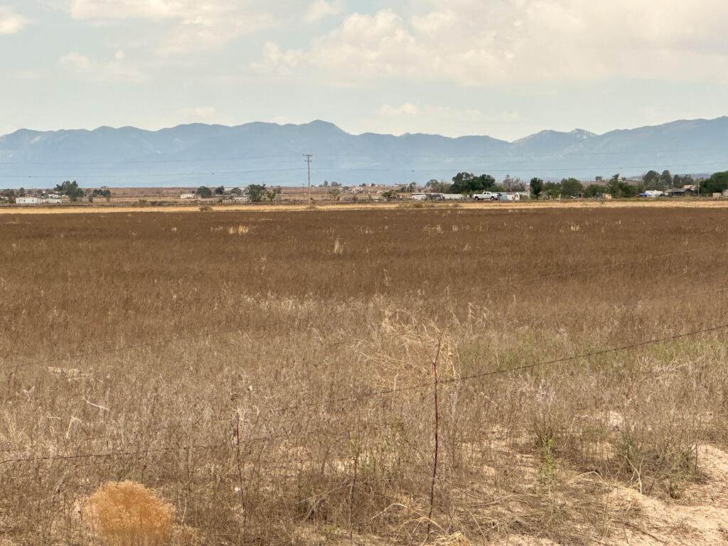  Ice Plant Road - Photo 1