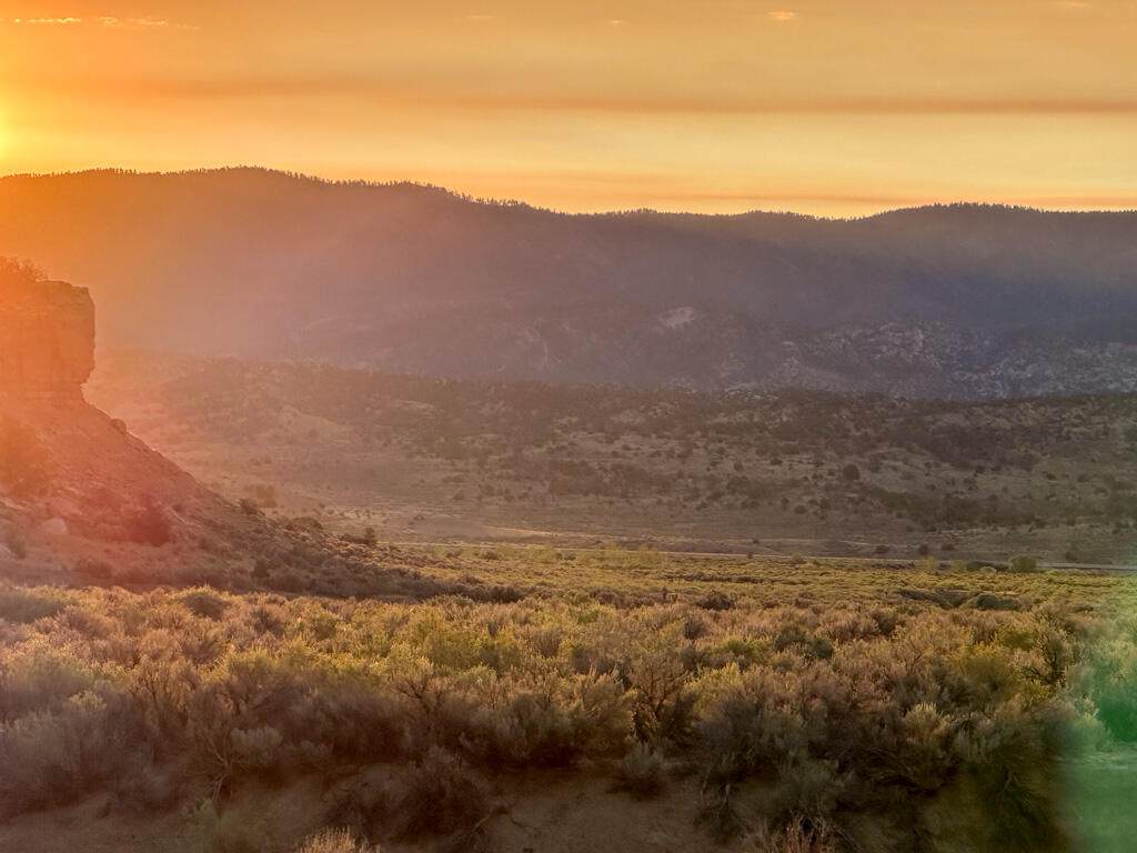  Us Hwy 550 - Photo 1