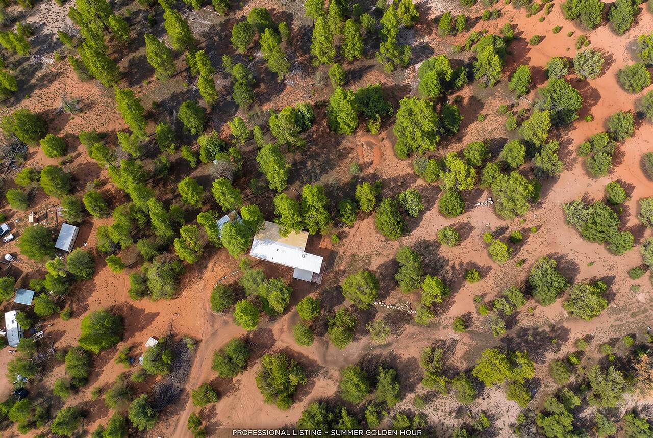 109 El Saguan Loop - Photo 1