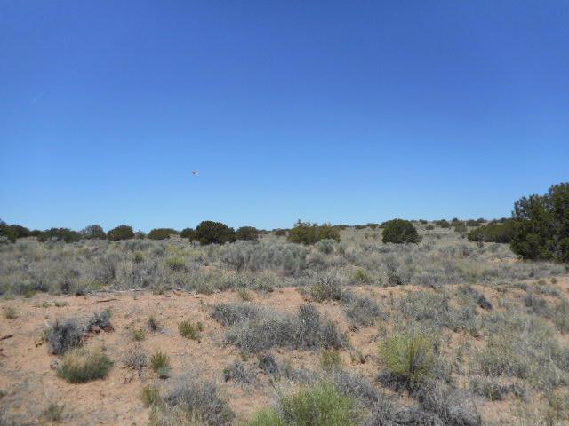 0 Shale (U21b79l 3) - Photo 1