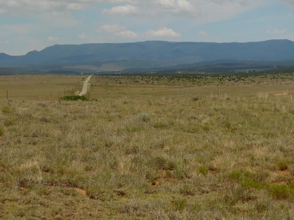 8980 Highway 55 - Photo 1