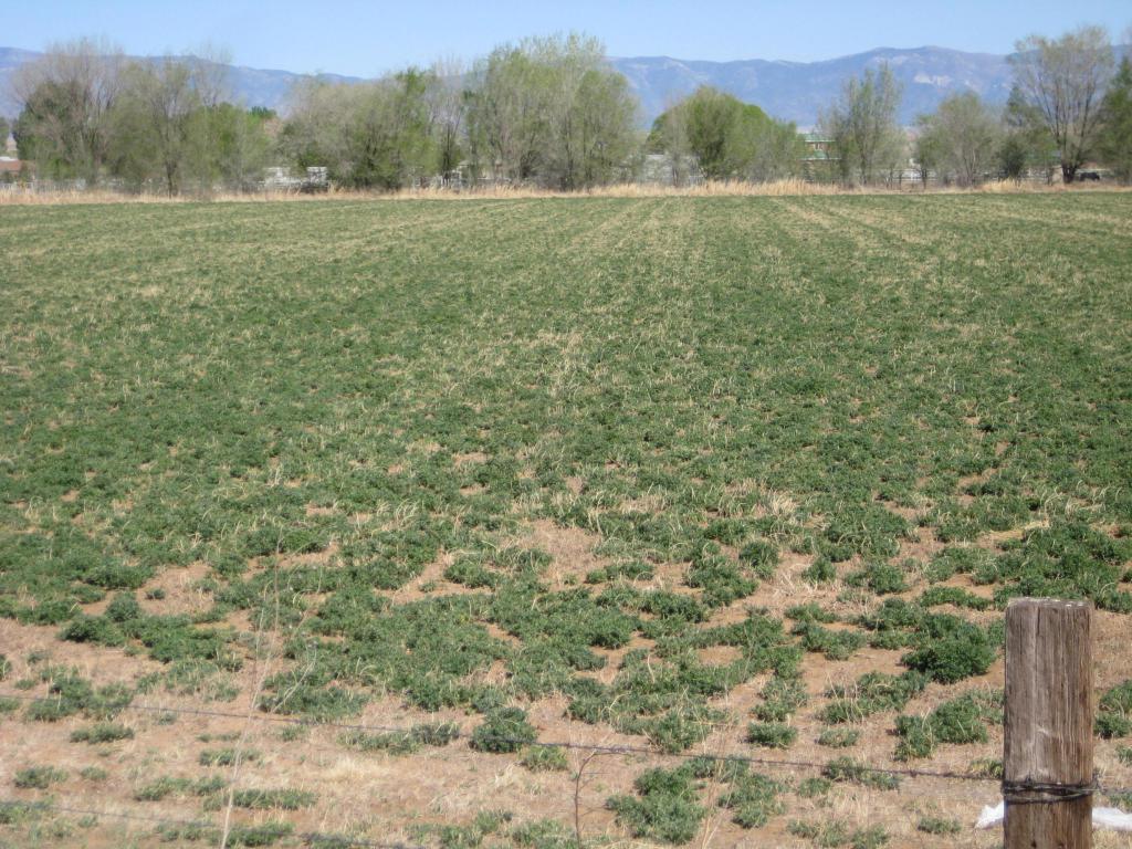 Hwy 47 And Vista Solano - Tome - Photo 1