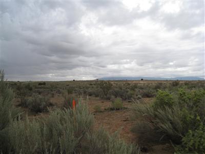 34 Hidalgo Road - Photo 1