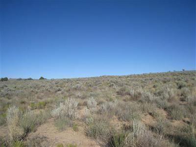 1221 27th Street - Photo 1