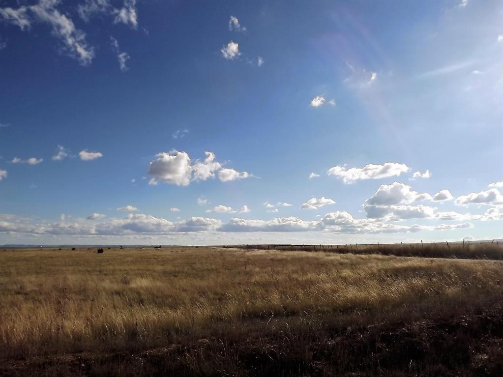 Tract 123 Marshall Road - Photo 1