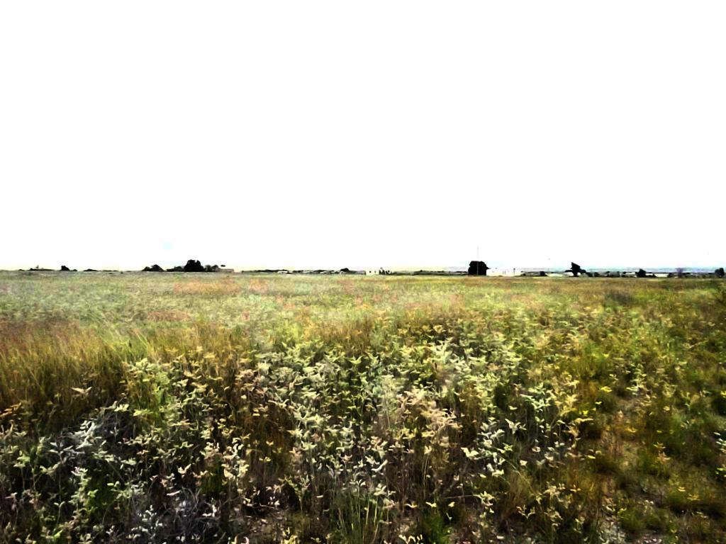 Tract 124 Marshall Road - Photo 1
