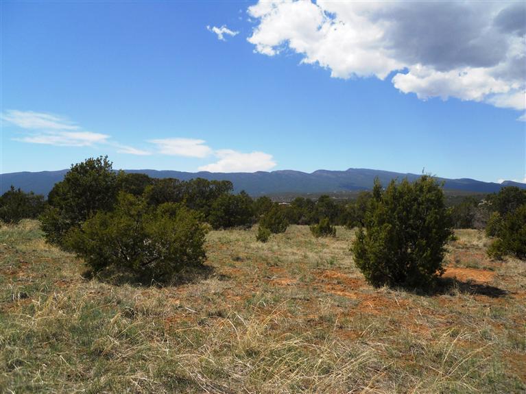 Wilderland Road - Photo 1 Wilderland Road - Photo 1