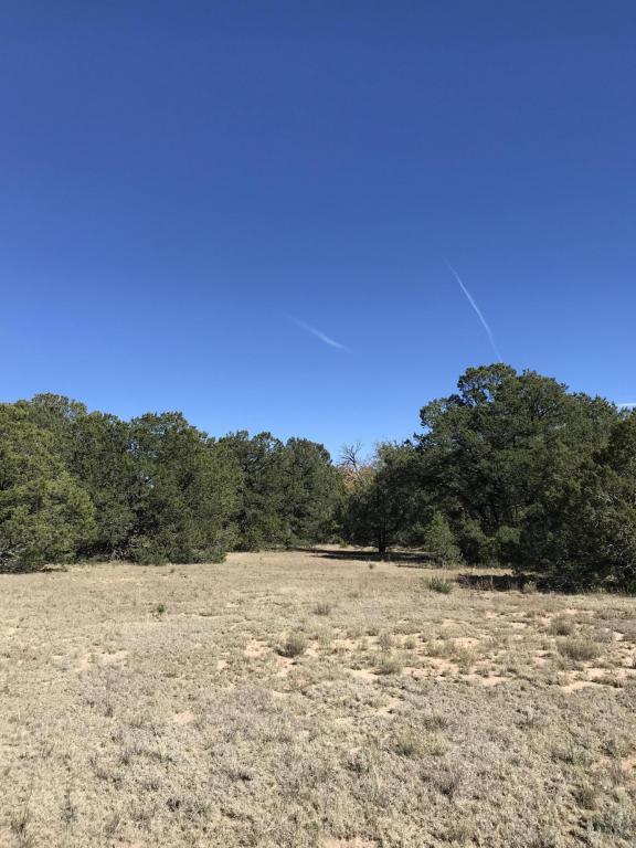 Tr A-4 Land Of Augustine And - Photo 1