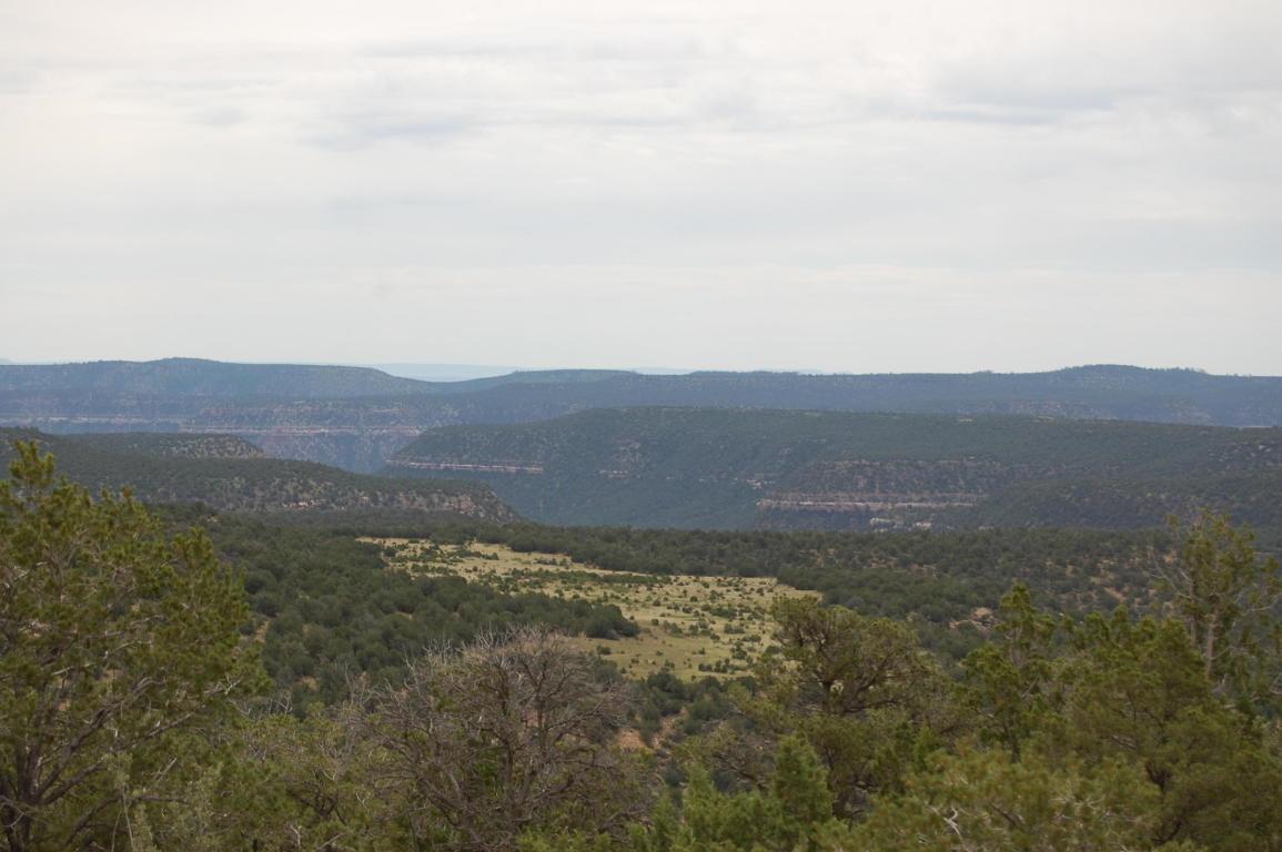 The Griego Ranch - Photo 1