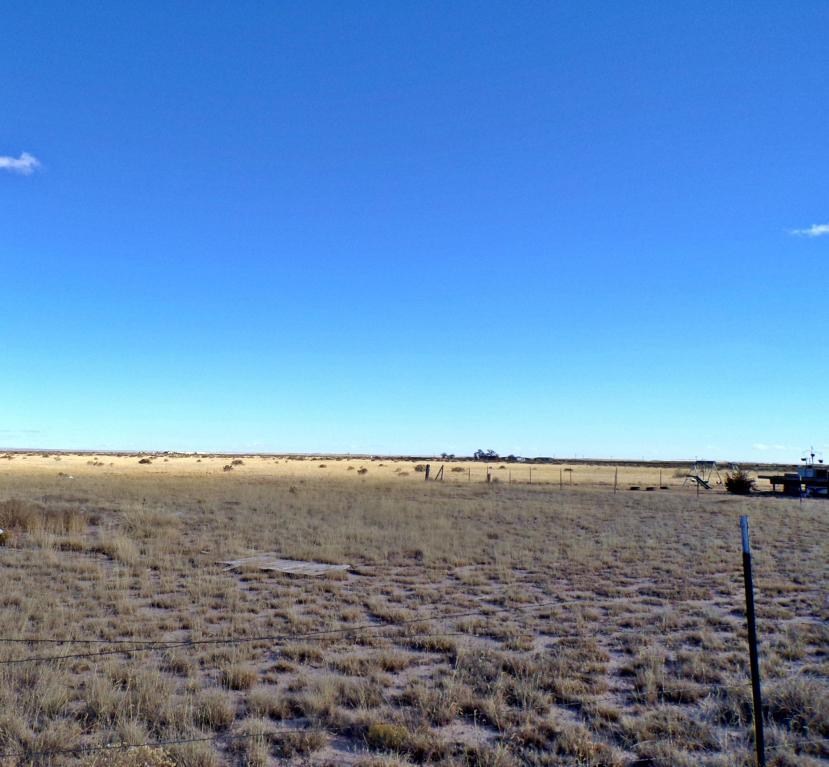 Morning Star Road - Photo 1