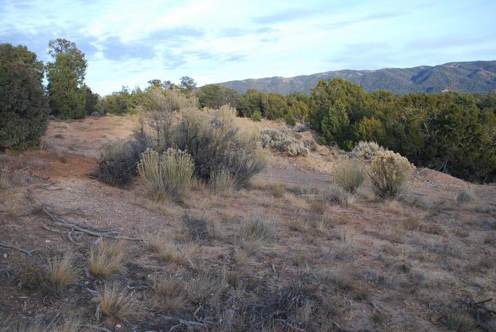 0 Old Highway 95 - Photo 1