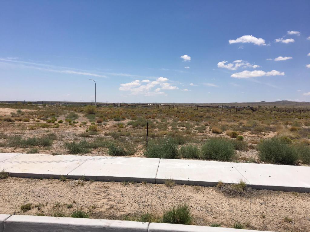 6524 Camino Del Oeste - Photo 1