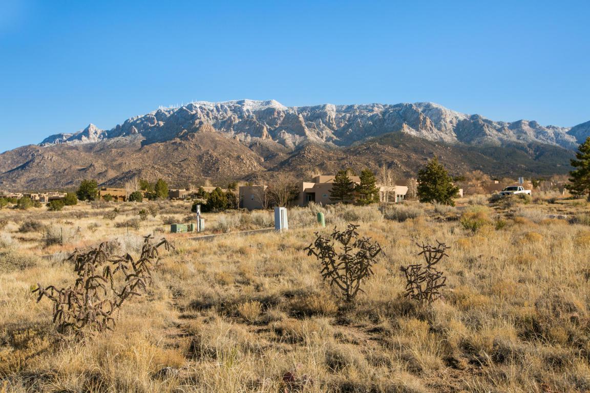 13534 Elena Gallegos Place - Photo 1