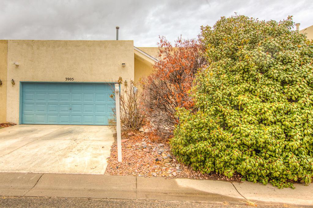 3905 Dancing Star Way - Photo 1
