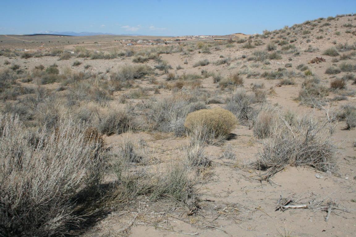 Doe Court - Photo 1