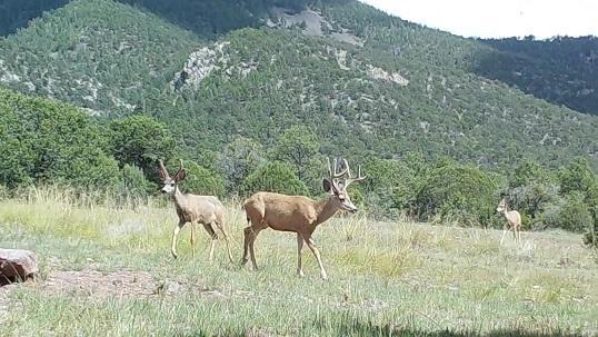 County - Photo 1
