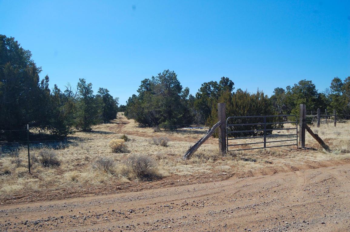Joyner Ranch - Photo 1