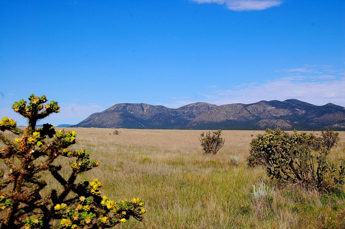 Rvs Ranch - Photo 1