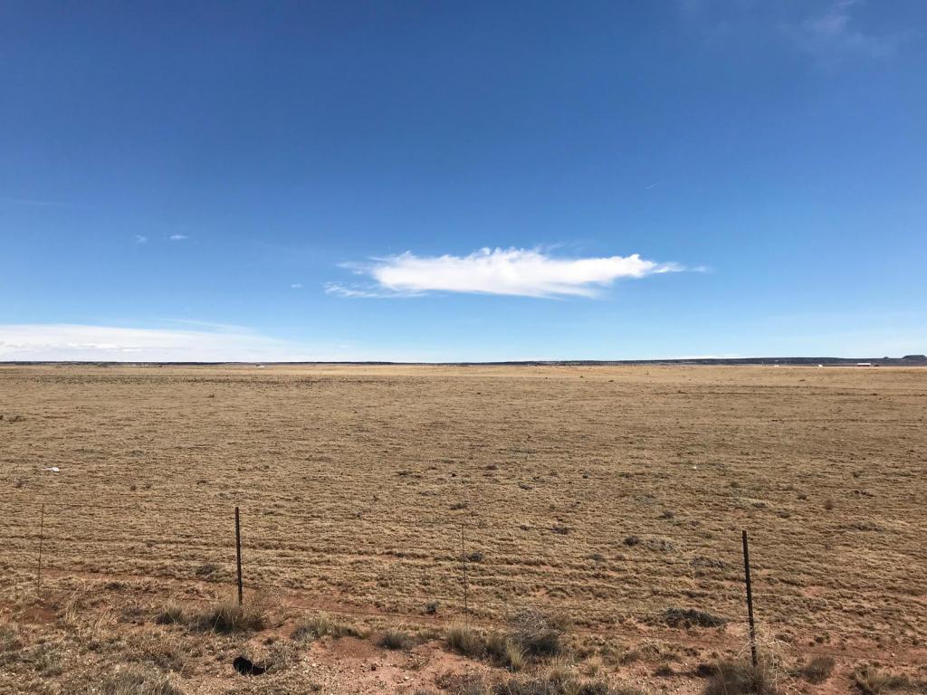 3940 Highway 41 - Photo 1