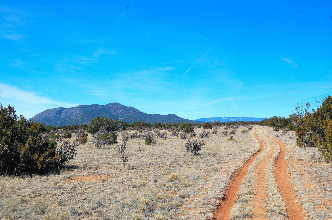 San Pedro Mountain Ranch - Photo 1