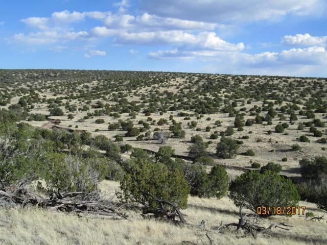 28 Spiritway - Photo 1
