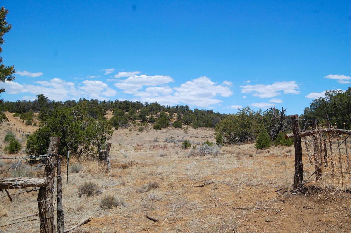 Akt Ranch - Photo 1