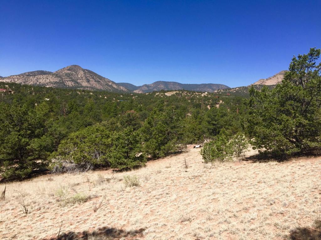 114 Homestead Trail - Photo 1