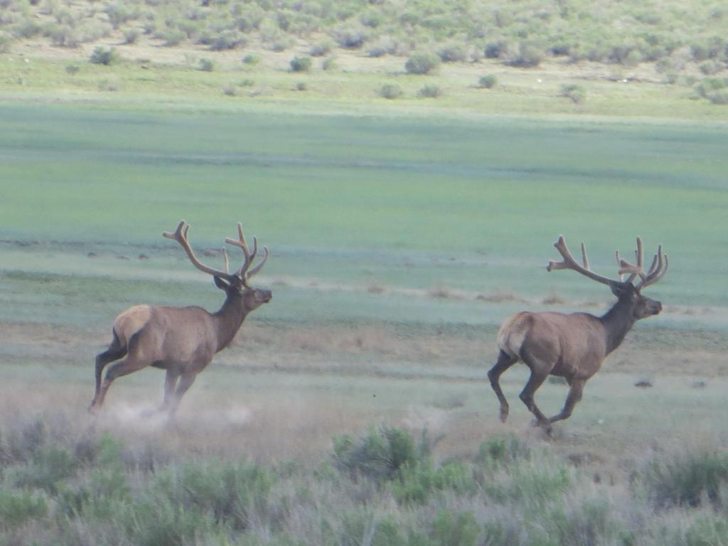 Nr. Highway 32 - Photo 1
