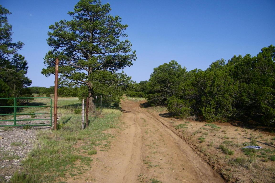 110 Salazar Road - Photo 1