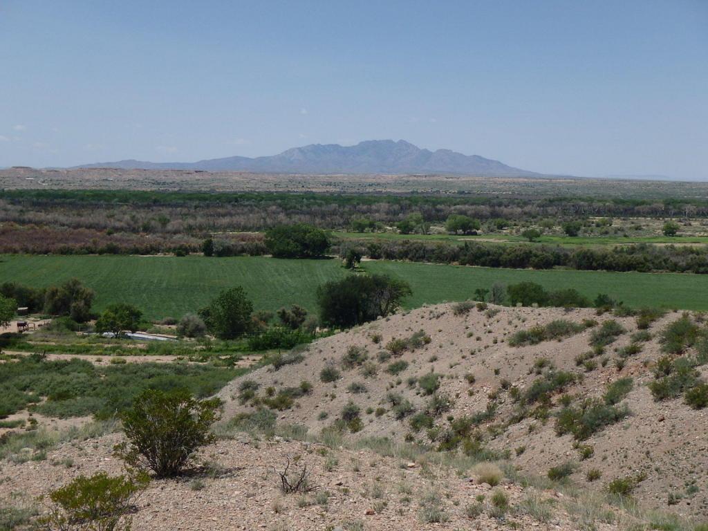 La Joya Farm - Photo 1