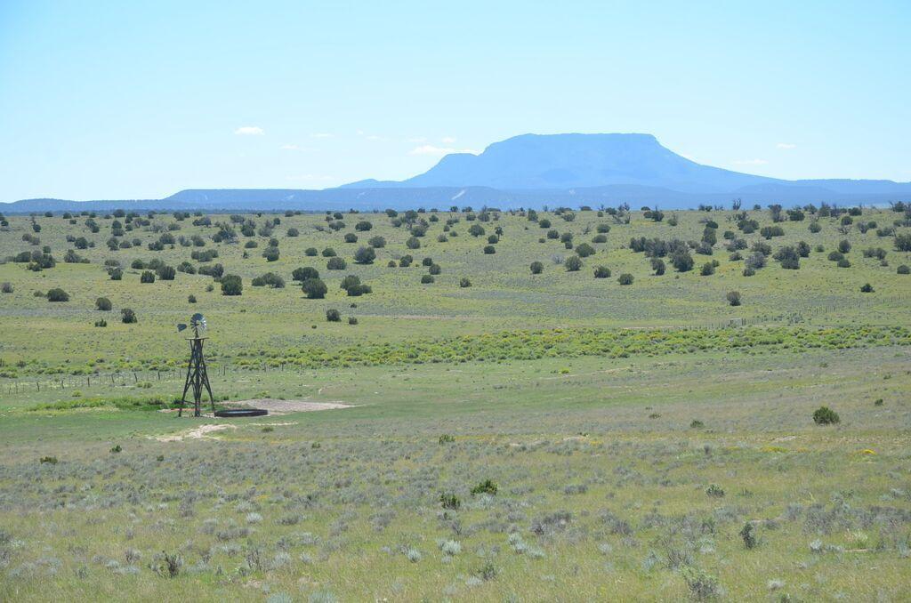 32 Scruffy Trail E-W Ranch 800 Ac - Photo 1