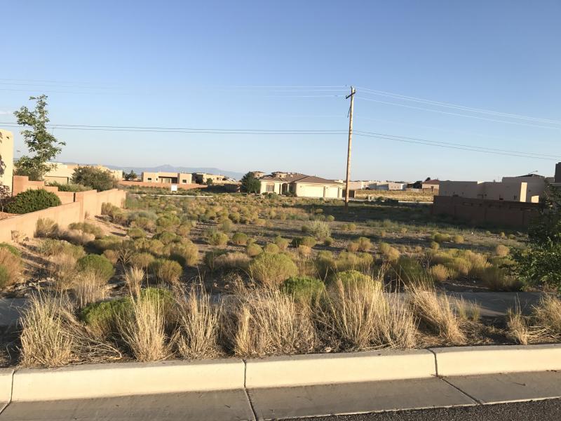8020 Monte Carlo Drive - Photo 1